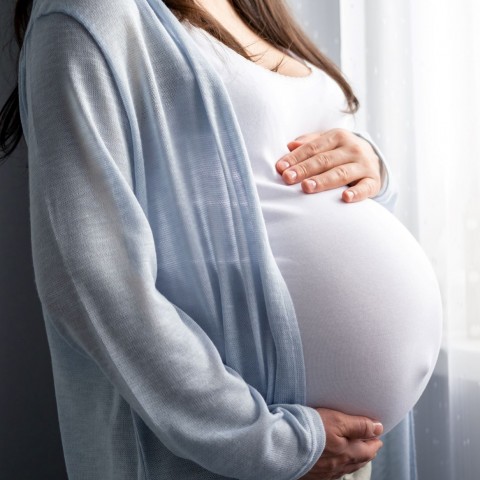 A pregnant woman standing in profile by a window with her hands resting above and below her belly. 