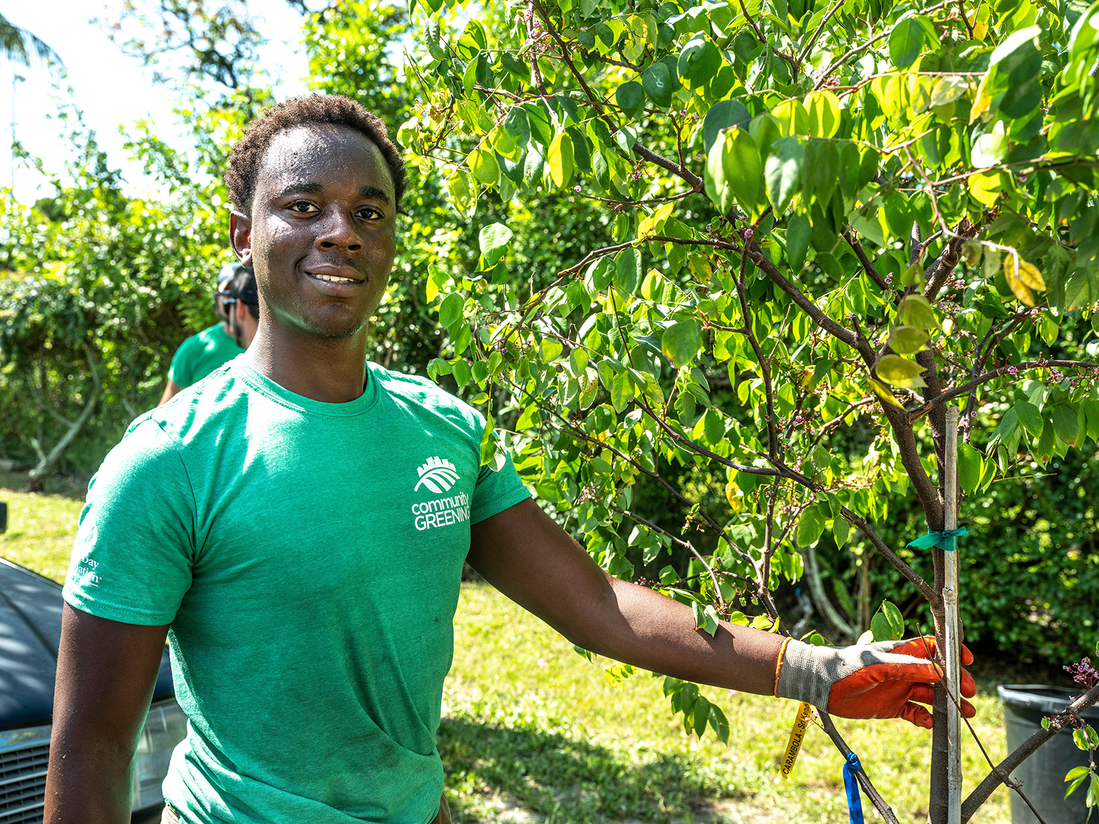 Teenage boy planting tree.