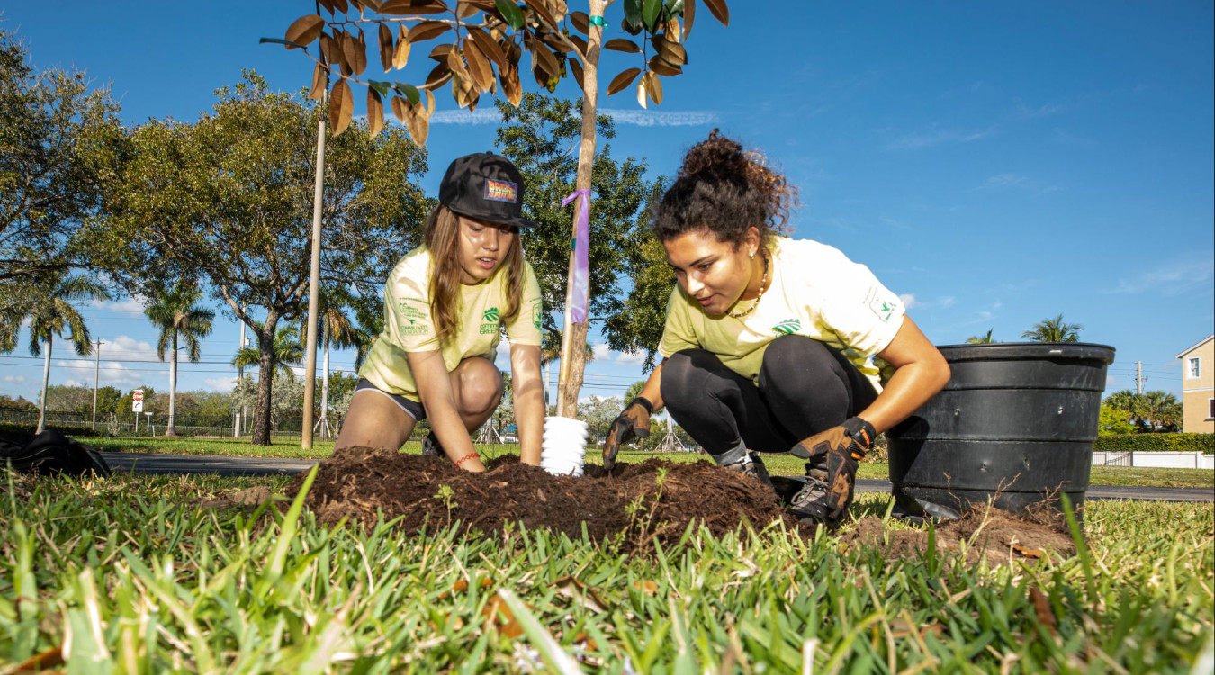 Teens planting trees as part of Community Greening program.