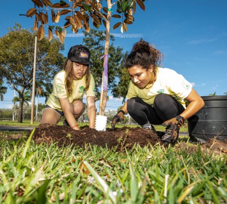 Two teen girls volunteer with CSC-funded Community Greening, planting trees in Palm Beach County neighborhoods.
