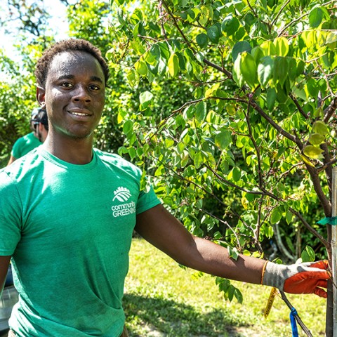 Teenage boy planting a tree.