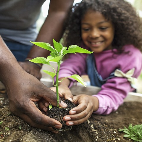 Black father plants a seedling with his smiling daughter.